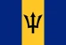 BB_flag BB_flag