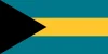 BS_flag BS_flag