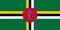 DM_flag