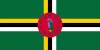 DM_flag DM_flag