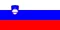 SI_flag